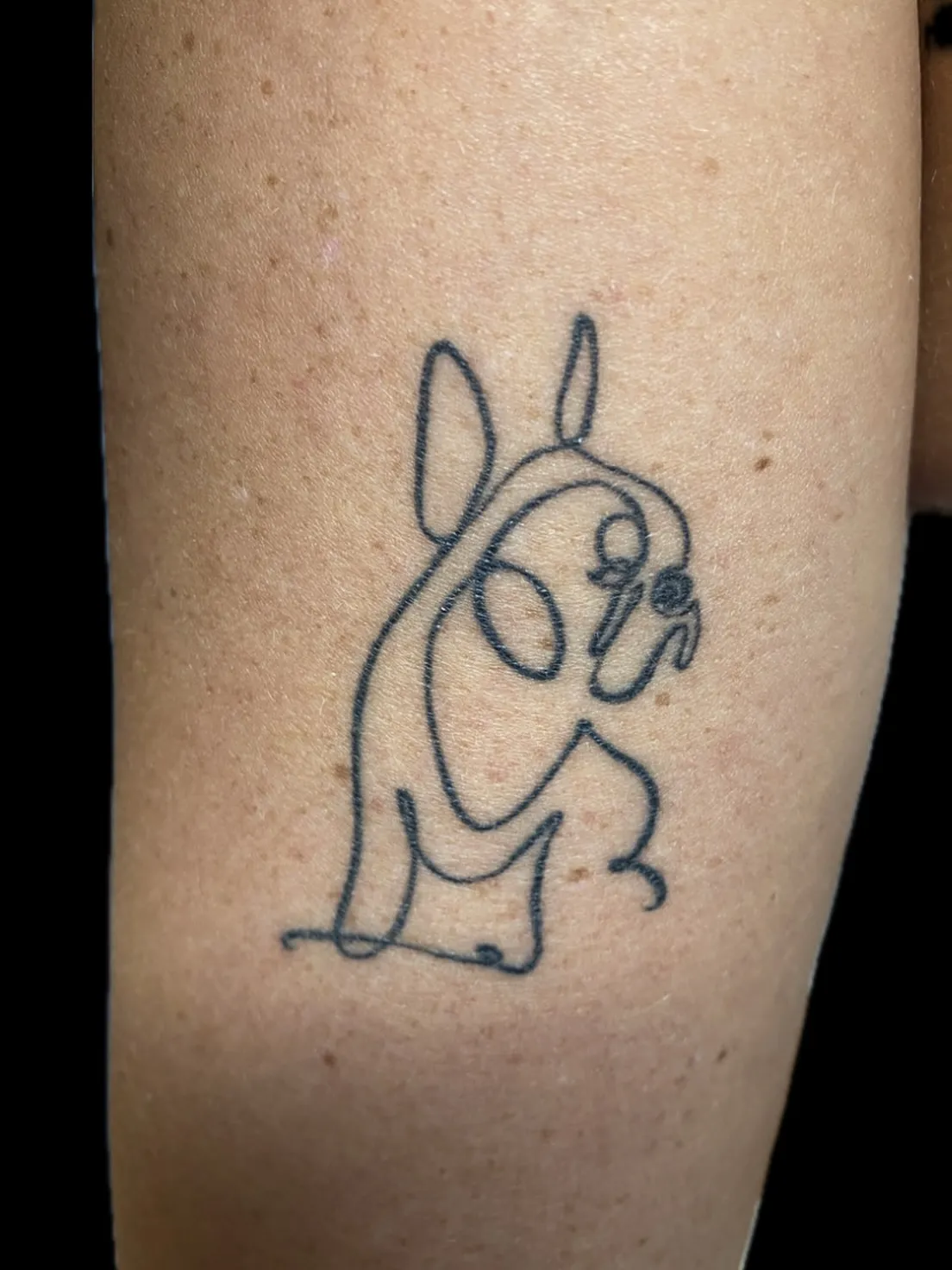 Tattoo van een Franse bulldog in doorlopende lijn op de arm, Mind to Body Gent